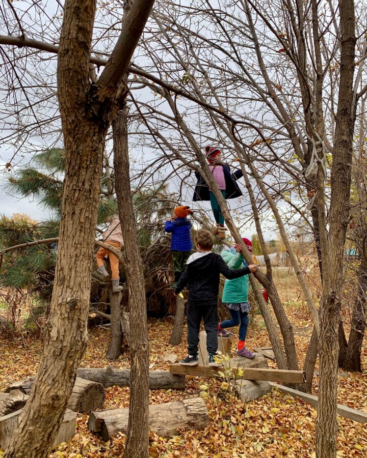 Kindergarteners climbing a tree